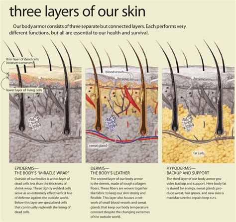 skin thickness by race